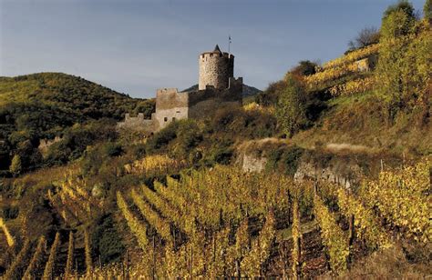 A Beginner’s Guide to Alsace Wines and the Alsace Wine Route