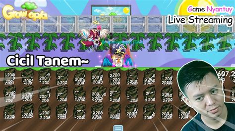 Tanam Seed Santai Live Growtopia INDONESIA YouTube