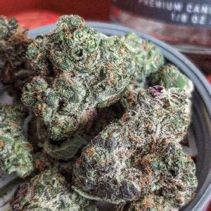 Cultivar Review Apple Fritter By Ozone The Highest Critic