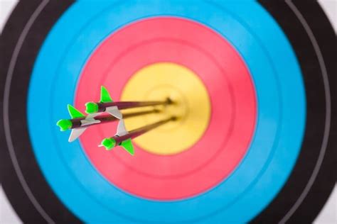 What are the Different Types of Archery Targets? - The Complete Guide ...