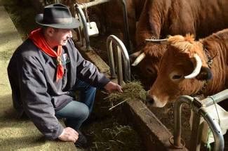 Chaudeyrolles Une Visite De Ferme Le Juillet Pour Voir Une Le Fin