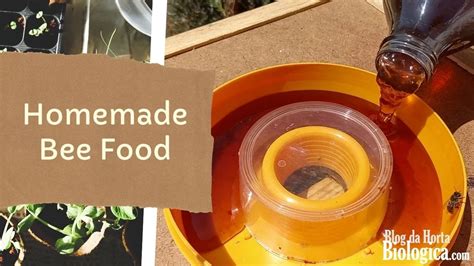 Diy Homemade Recipe To Feed Honey Bees Sweet Natural Syrup For Bees