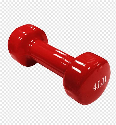 Dumbbell Weight Training Exercise Equipment Barbell Physical Fitness