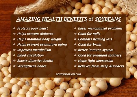 Must Eat Soybeans Daily For Amazing Health Benefits