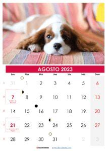 Descargar Calendario Agosto Colombia