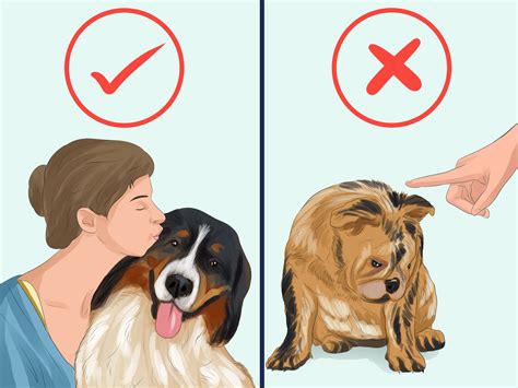 How To Take Care Of A Dog With Pictures Wikihow