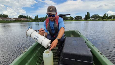 Pond And Lake Pollution How It Affects Water Quality