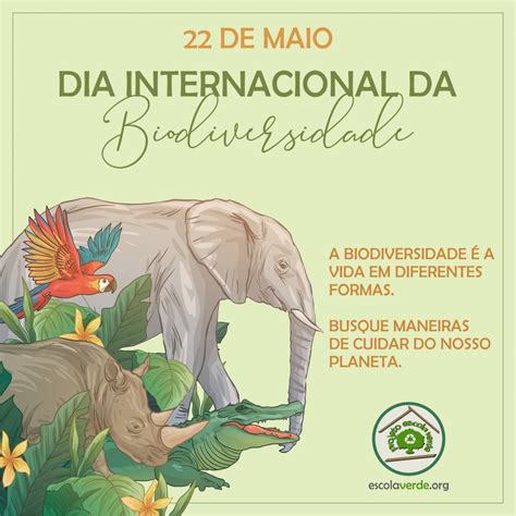 Dia Internacional Da Biodiversidade Programa Escola Verde