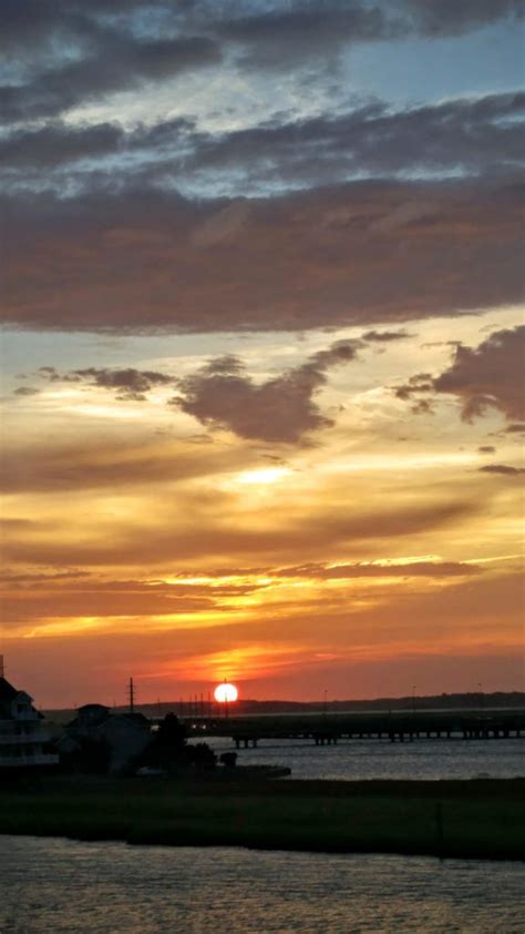 Chincoteague Island beaches, marshes & forests with wild ponies ...