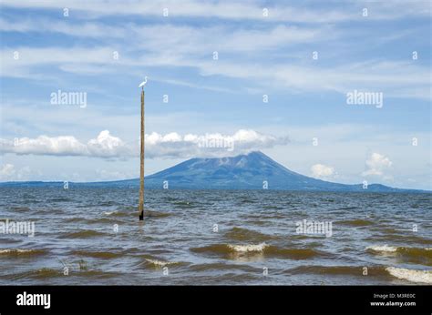 El Lago De Nicaragua O Cocibolca O Granada Un Lago De Agua Dulce En