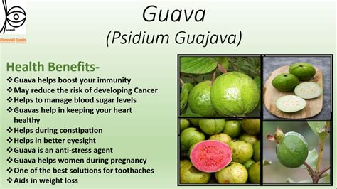 GUAVA: BENEFITS, NUTRITIONAL VALUE, LEAVES/BARK USES