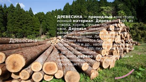 Древесина - природный материал