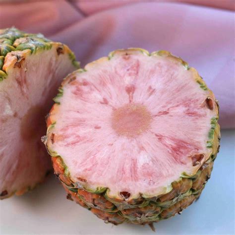 is pineapple good for pregnant women 2