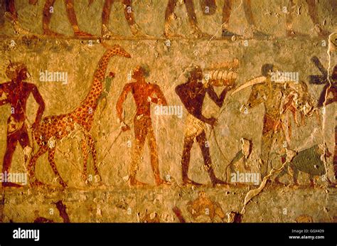 A wall painting in the mortuary temple of Hatshepsut depicting her legendary expedition to Punt ...