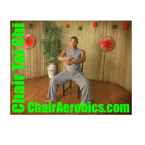 Chair Aerobics for Everyone - Chair Tai Chi DVD : low impact workout for all fitness levels