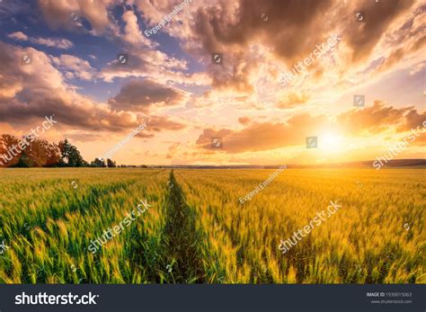 938,093 Sunrise Field Images, Stock Photos & Vectors | Shutterstock