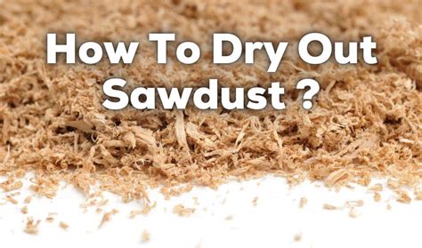 How To Dry Out Sawdust Proven Methods Woodworkly