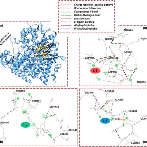 Some Active Site Residues Of RdRp Protein A The Molecular Docking