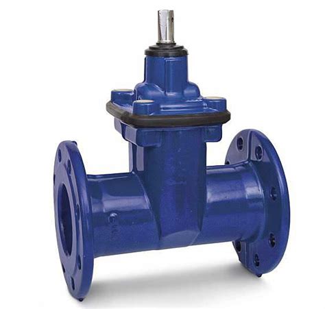 Water Valve Gate Shut Off Rubber Ritm Industry