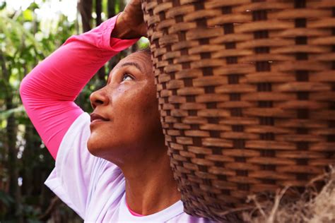 Campanha Tem Floresta em Pé Tem Mulher destaca luta de agricultoras na