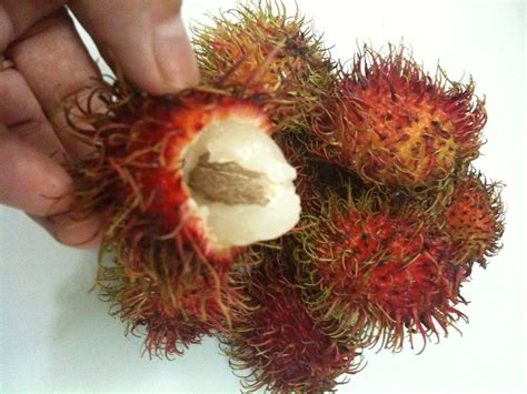 Angeles City And Beyond Fruit In Season Rambutan