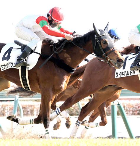 【次回注目馬】直線で立て直してから猛追 ココナッツブラウンに古川吉洋騎手「いい瞬発力」 ライブドアニュース