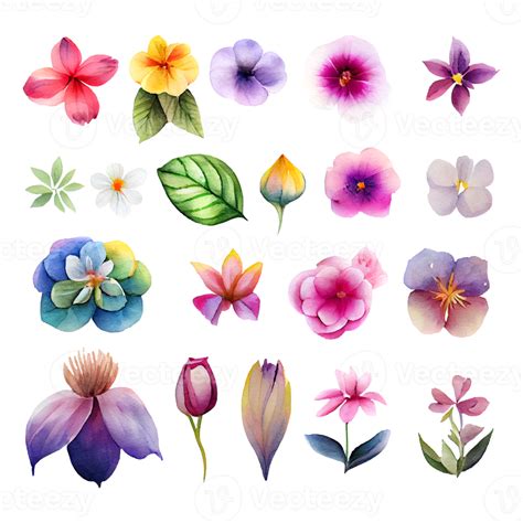 Beautiful Watercolor Flower Vector Png Images Beautiful Colorful Porn