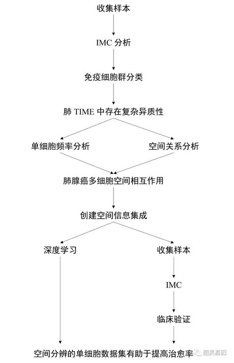 Nature 肺肿瘤免疫微环境的单细胞空间景观 知乎