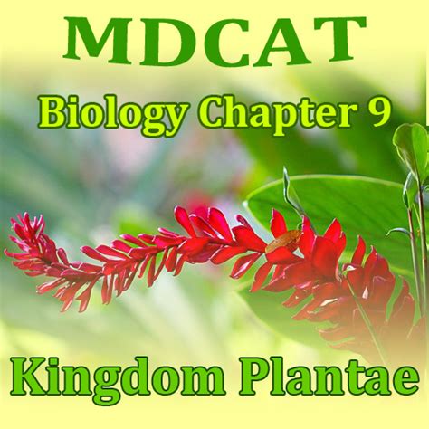 Kingdom Plantae Mdcat Biology Chapter