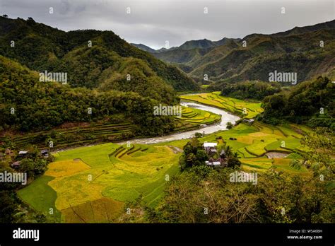 Rice Terraces Near Batad The Cordillera Mountains Luzon The