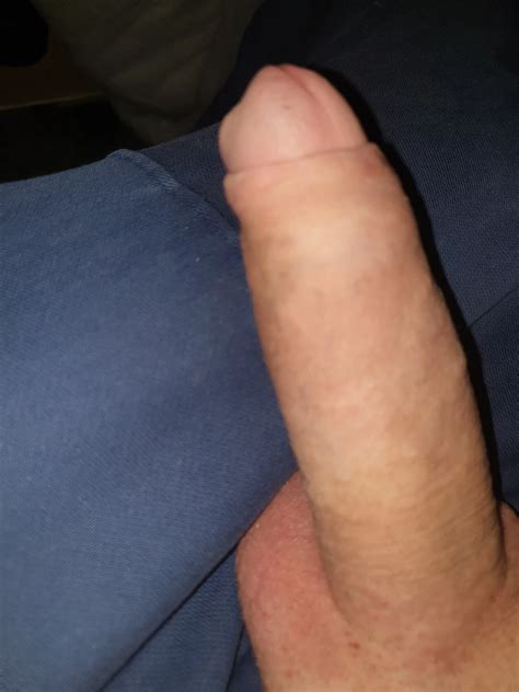 In My Caravan 5 Nude Pics XHamster