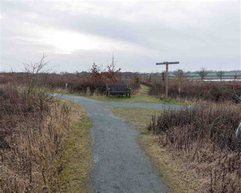 Abberton Reservoir | Essex Birdwatching Society