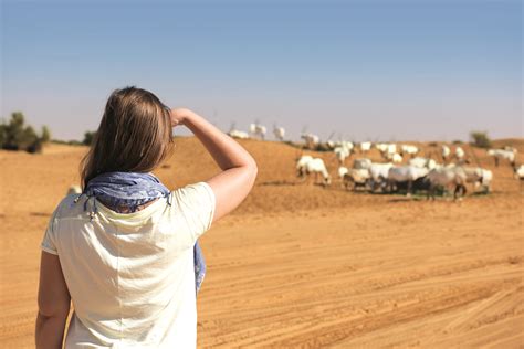 Dubai Desert Conservation Reserve releases first annual report