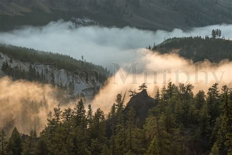 Grand Canyon Yellowstone Fog Sunrise – Tom Murphy Photography