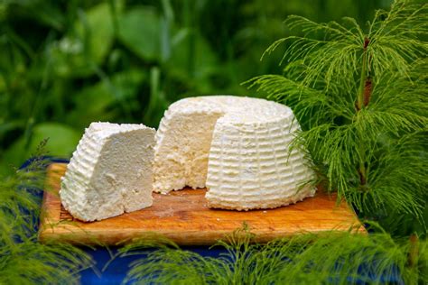 Ricotta Vs Cottage Cheese Differences In Taste And More Wholeyum