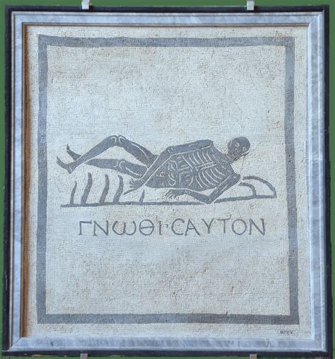 Skeletons — Themes in Art | Obelisk Art History