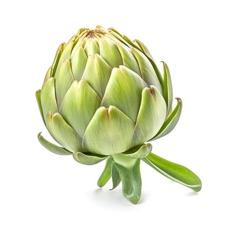 Premium Ai Image Closeup Shot Of Fresh Artichokes