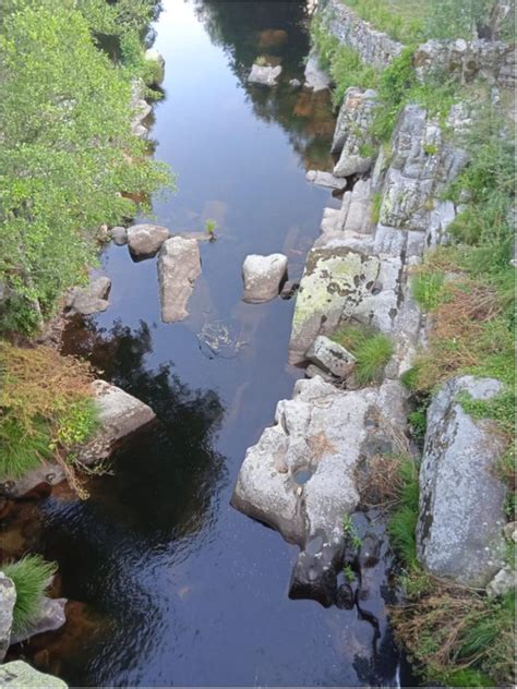 Rio Covo Junta de Freguesia de Vila Cova à Coelheira