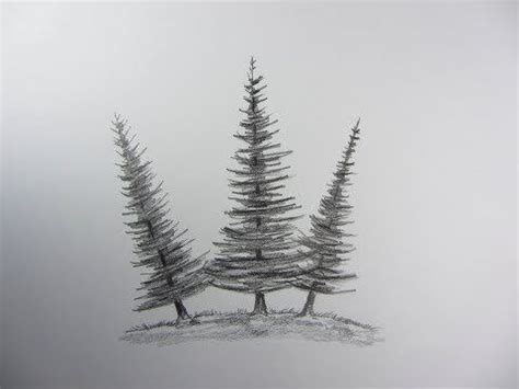 How To Draw Pine Tree Very Simple Pine Tree Drawing Trees Drawing