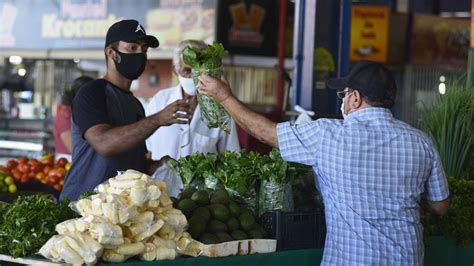 Palmas já conta retomada de rotina das feiras livres ECO NEWS AGRO