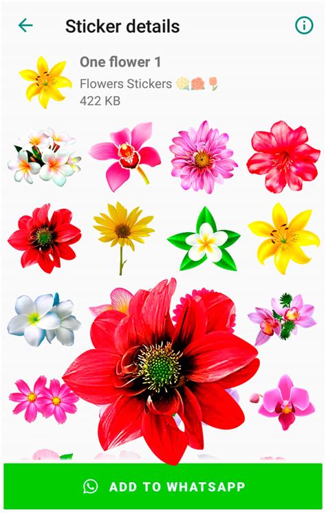 Flowers Stickers For Whatsapp Para Android Descargar