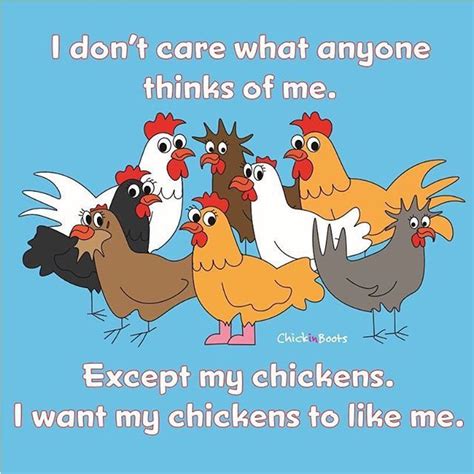 Funny Chicken Quotes For Instagram - ShortQuotes.cc