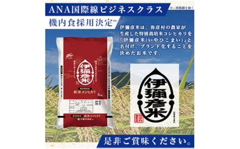 令和6年産特別栽培米コシヒカリ「伊彌彦米」10kg ブランド米 新潟県 弥彦村＜特別栽培米コシヒカリ＞新潟県産 白米 精米 お米 こしひかり