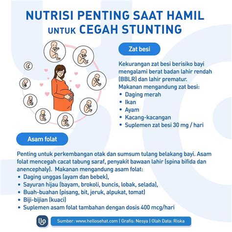 Nutrisi Penting Saat Hamil Untuk Mencegah Stunting HelloSehat