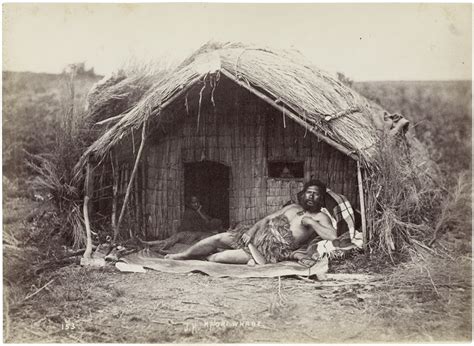 Traditional Maori House