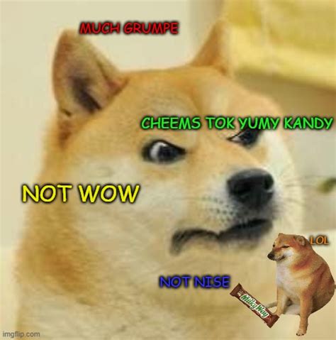 angry doge Memes & GIFs - Imgflip