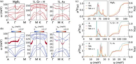 Pdf Dynamical Renormalization Of Electron Phonon Coupling In