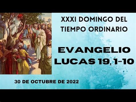 Xxxi Domingo Del Tiempo Ordinario Evangelio Lucas De