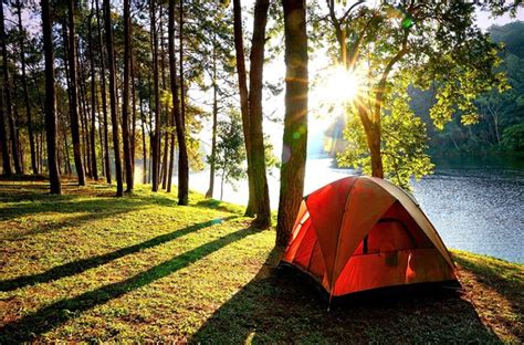 Top Tips for Your First Solo Camping Trip | How to Camp Alone | KOA Camping Blog