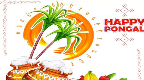 Top Happy Pongal Wishes Images Amazing Collection Happy Pongal